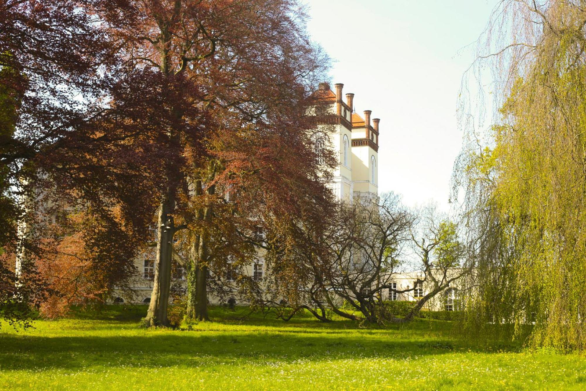 Schloss ลืบเบอเนา ภายนอก รูปภาพ